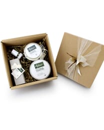 Schnarwiler Body Cleanser Echinacea, 250 ml