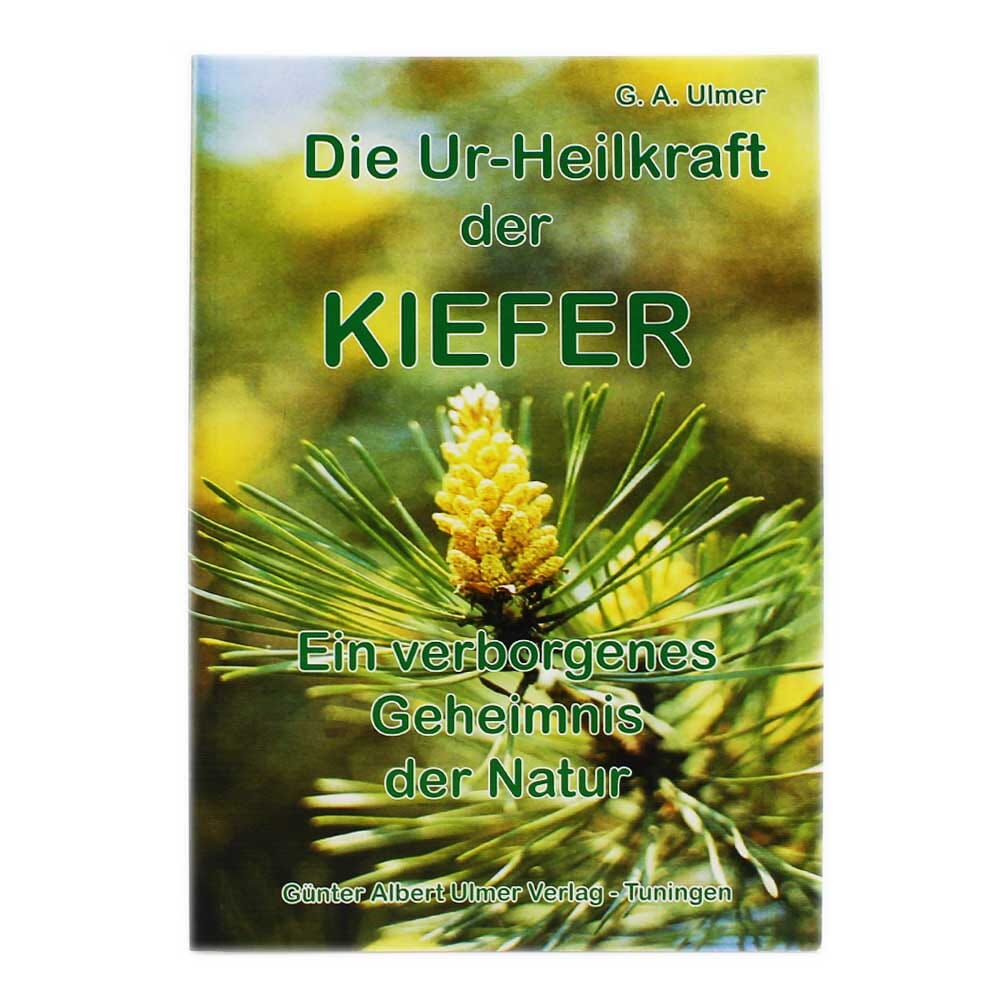 Die Ur-Heilkraft der Kiefer