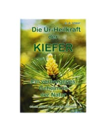 Die Ur-Heilkraft der Kiefer