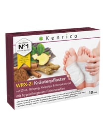 Zimt, Ginseng, Kelpalge & Konjakwurzel